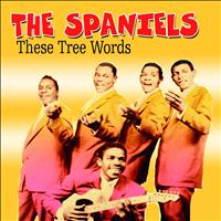 The Spaniels - These Tree Words