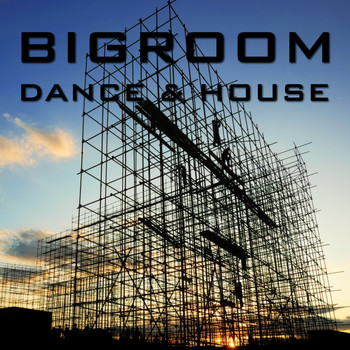 Various Artists - Bigroom Dance & House
