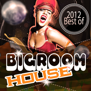 Various Artists - Bigroom House 2012 Best of