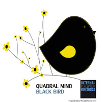 Quadral Mind - Black Bird