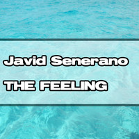 Javid Senerano - The Feeling