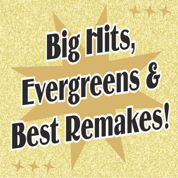 Various Artists - Big Hits, Evergreens & Best Remakes!