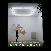 Simian Ghost - Autumn Slowmo (For the Dejected Realist)