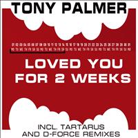 Tony Palmer - Loved You for 2 Weeks