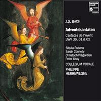 Philippe Herreweghe - J.S. Bach: Adventskantaten