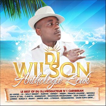 Various Artists - Le Best of du DJ producteur No. 1 Caribbean DJ Wilson