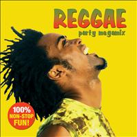 The Sign Posters - Reggae Party Megamix