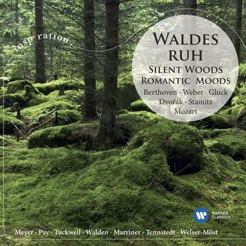 Various Artists - Waldesruh / Silent Woods: Romantic Moods