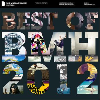 Various Artists - Best of Big Mamas House 2012