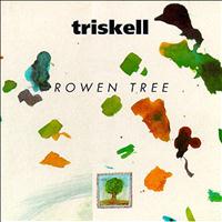 Triskell - Rowen Tree (Breton Group - Celtic Music from Brittany -Keltia Musique -Bretagne)