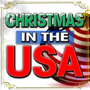 Various Artists - Christmas in the U.S.A.