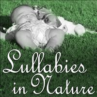 Forest Magic - Lullabies in Nature: Sleeping in the Magic Forest (For Baby Sleep and Relax, Favorite Lullabies and Nature's Sounds, the Best Relaxing Music)