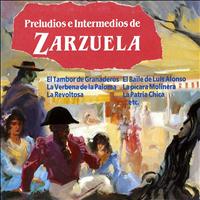 English Chamber Orchestra - Preludios e Intermedios de Zarzuela