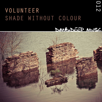 Volunteer - Shade Without Colour