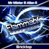 Mr Mister & Allan E - Bricktop