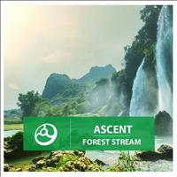 Ascent - Forest Stream - Single