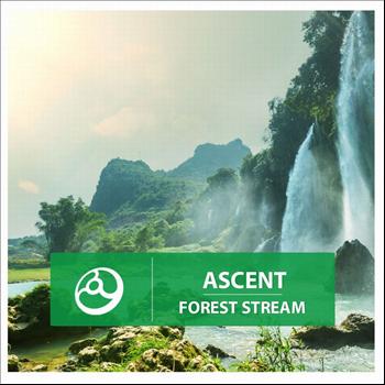 Ascent - Forest Stream - Single