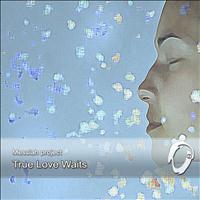 Messiah Project - True Love Waits