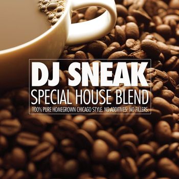 DJ Sneak - Special House Blend (Continuous DJ Mix)