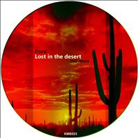Ecco - Lost the Desert
