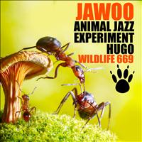 Jawoo - Animal Jazz / Experiment / Hugo