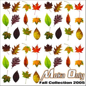Moka Only - Fall Collection 2005 (Explicit)