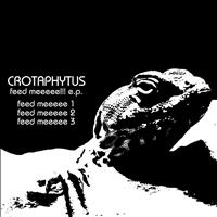 Crotaphytus - Feed Mee