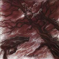 Veil - Sombre