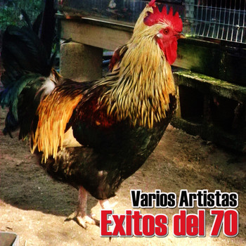 Various Artists - Exitos Del 70