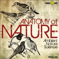 Roberto Vallicelli - Anatomy of Nature