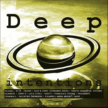 Various Artists - Deep Intentions Records, Vol. 1