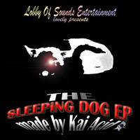 KAi ACiD - The Sleeping Dog