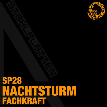 Fachkraft - Nachtsturm
