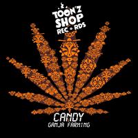 Candy - Znootpoch LP01 (Ganja Farming)
