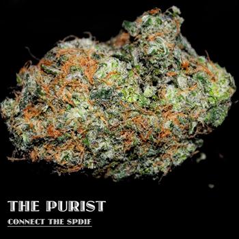 The Purist - Connect the Spdif (Explicit)