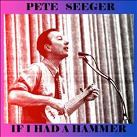 Pete Seeger and The Weavers - If I Had a Hammer