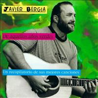 Javier Bergia - De aquellos años verdes