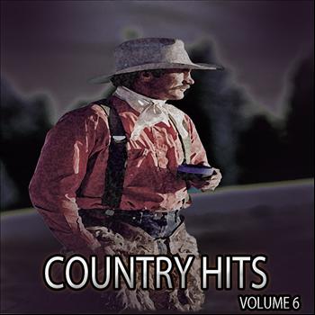 Various Artists - Country Hits, Vol. 6