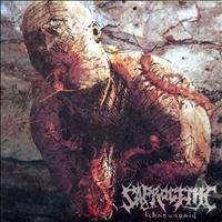 Saprogenic - Ichneumonid
