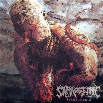 Saprogenic - Ichneumonid