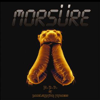 Morsure - Acceleration Process