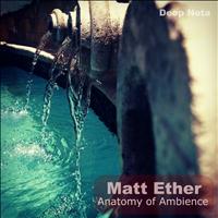 Matt Ether - Anatomy of Ambience