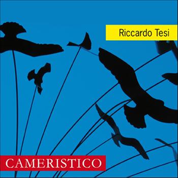 Riccardo Tesi - Cameristico