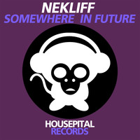 NekliFF - Somewhere in Future