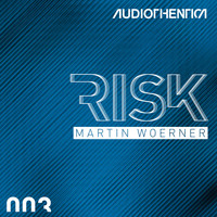 Martin Woerner - Risk