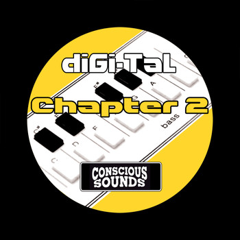 Various Artists / - Digikal Chapter 2