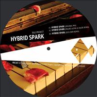 B&S Project - Hybrid Spark
