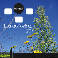 Ess Aitch - Lounge Feelings 2013