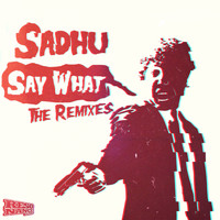 Sadhu - Say What the Remixes