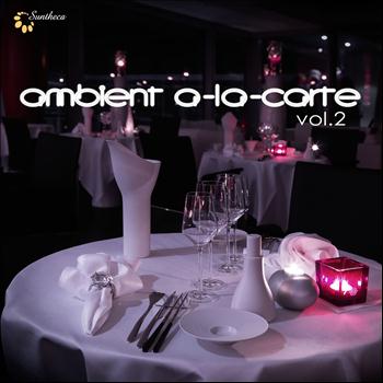 Various Artists - Ambient A-La-Carte, Vol. 2
